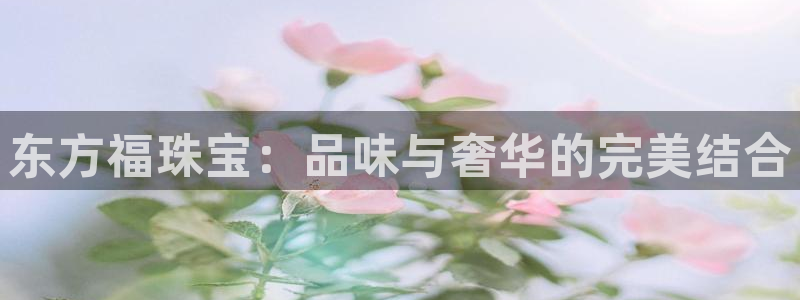 新宝5下载软件