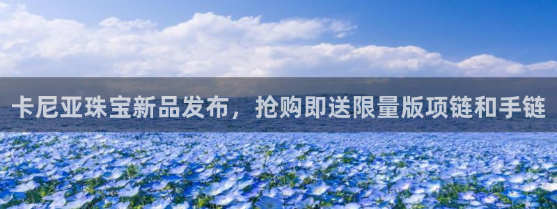 p5r新宝魔：卡尼亚珠宝新品发布，抢购即送限量版项链和手链