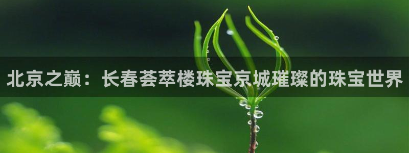 新宝5注册霸：北京之巅：长春荟萃楼珠宝京城璀璨的珠宝世界
