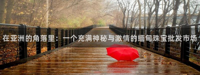 新宝5官方网站：在亚洲的角落里：一个充满神秘与激情的缅甸珠宝批发市场