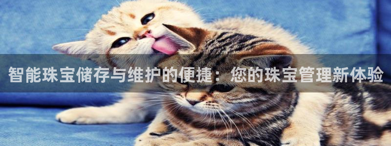新5宝：智能珠宝储存与维护的便捷：您的珠宝管理新体验