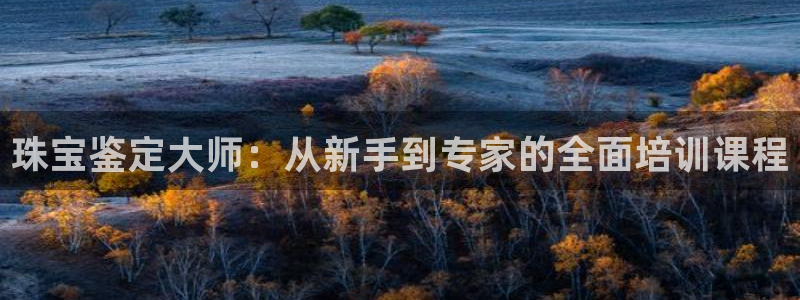 新宝5怎么代理：珠宝鉴定大师：从新手到专家的全面培训课程