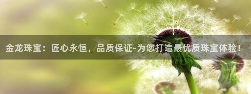 新宝5娱乐学：金龙珠宝：匠心永恒，品质保证-为您打造最优质珠宝体验！