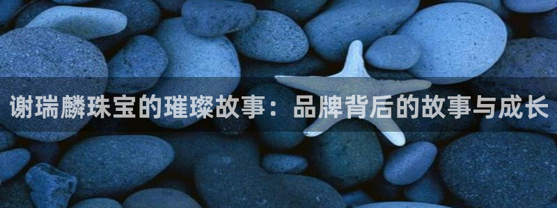 新宝5挂机软件：谢瑞麟珠宝的璀璨故事：品牌背后的故事与成长