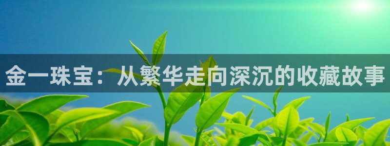 新宝5的网址：金一珠宝：从繁华走向深沉的收藏故事