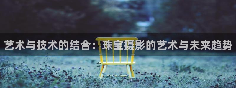 新宝5代理：艺术与技术的结合：珠宝摄影的艺术与未来趋势