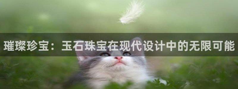 新宝5现在还能玩吗：璀璨珍宝：玉石珠宝在现代设计中的无限可能