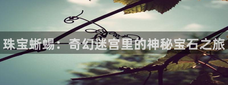 新宝cR一5：珠宝蜥蜴：奇幻迷宫里的神秘宝石之旅