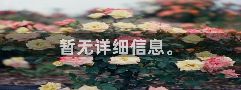 新宝5娱乐手机登录：暂无详细信息。