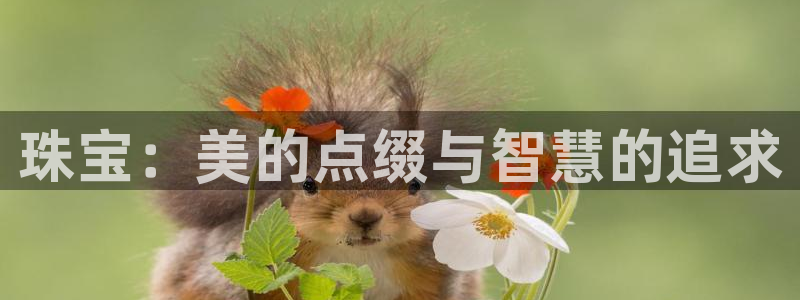 新宝5招商222111：珠宝：美的点缀与智慧的追求