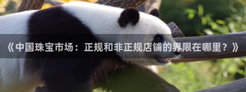 新宝5官方登录入口：《中国珠宝市场：正规和非正规店铺的界限在哪里？》