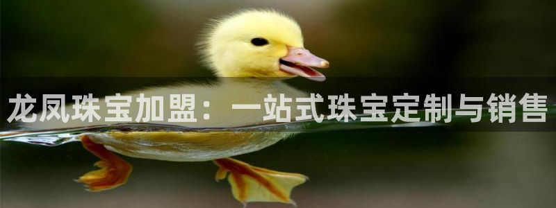新宝5登录入口网址：龙凤珠宝加盟：一站式珠宝定制与销售