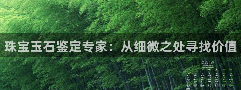 新宝5是谁：珠宝玉石鉴定专家：从细微之处寻找价值