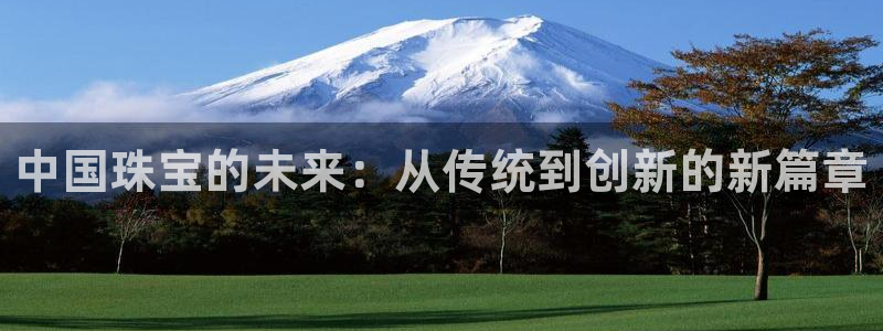 新宝6霸哥5：中国珠宝的未来：从传统到创新的新篇章