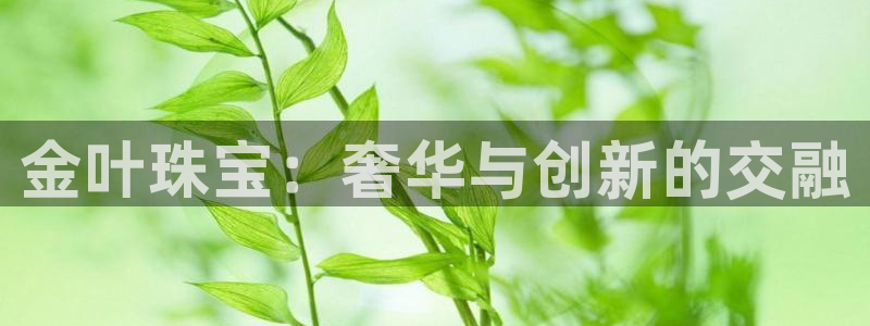 新宝奇迹GG5：金叶珠宝：奢华与创新的交融