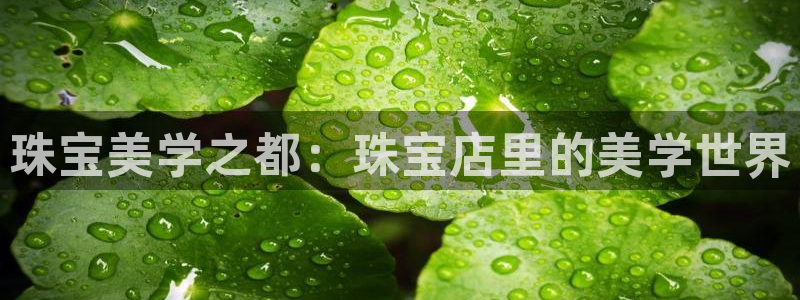 新宝5唯一：珠宝美学之都：珠宝店里的美学世界