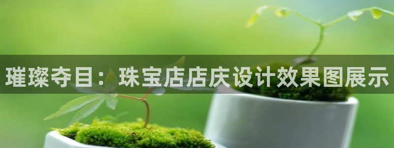新宝5 - 测速登陆：璀璨夺目：珠宝店店庆设计效果图展示
