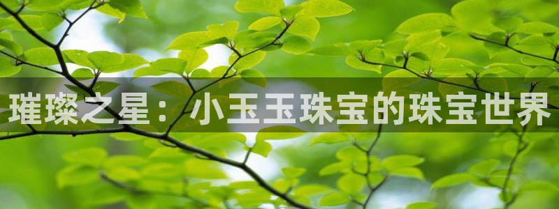 新宝5日：璀璨之星：小玉玉珠宝的珠宝世界