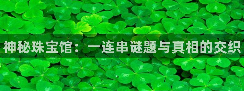 新宝rm5：神秘珠宝馆：一连串谜题与真相的交织