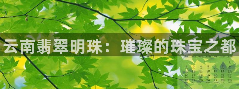 新宝5下载官方：云南翡翠明珠：璀璨的珠宝之都