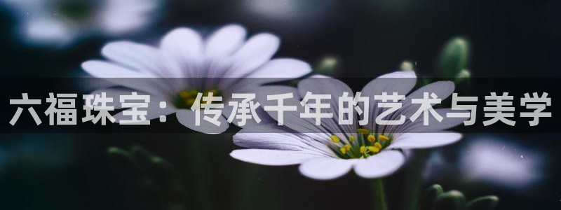 新宝娱乐5：六福珠宝：传承千年的艺术与美学