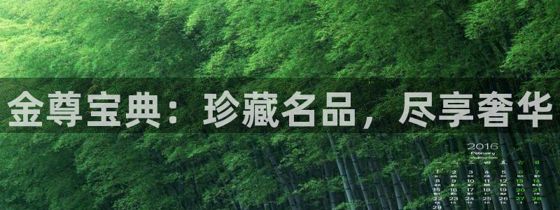 新宝5是什么：金尊宝典：珍藏名品，尽享奢华