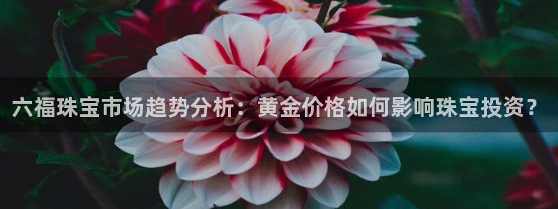 新宝5娱乐然：六福珠宝市场趋势分析：黄金价格如何影响珠宝投资？