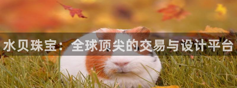 新宝5苹果手机下载：水贝珠宝：全球顶尖的交易与设计平台