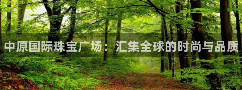 新宝5挂机：中原国际珠宝广场：汇集全球的时尚与品质