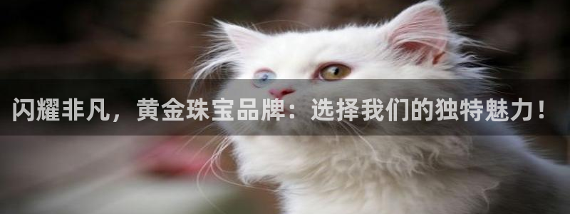 新宝5平台登陆：闪耀非凡，黄金珠宝品牌：选择我们的独特魅力！