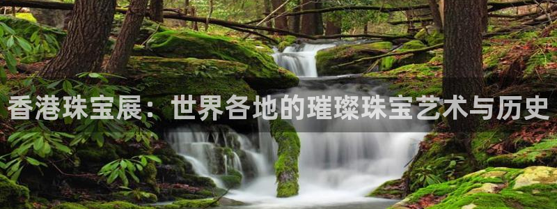 新宝5得74OOO5：香港珠宝展：世界各地的璀璨珠宝艺术与历史