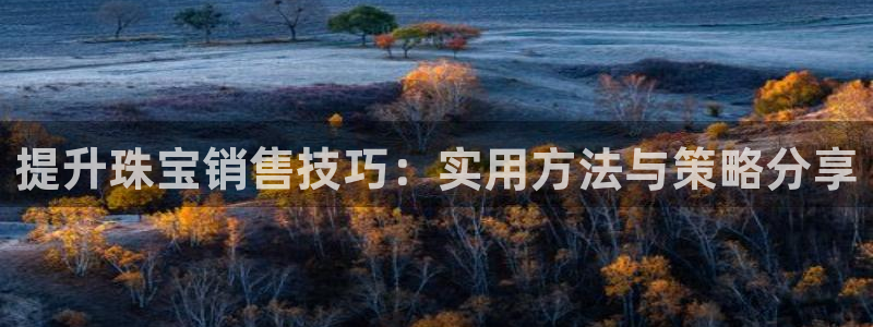 新宝5王问74OOO5：提升珠宝销售技巧：实用方法与策略分享