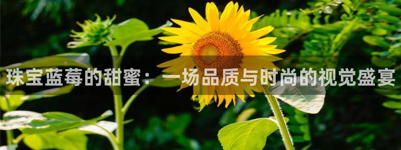 新宝5电脑登录网址：珠宝蓝莓的甜蜜：一场品质与时尚的视觉盛宴