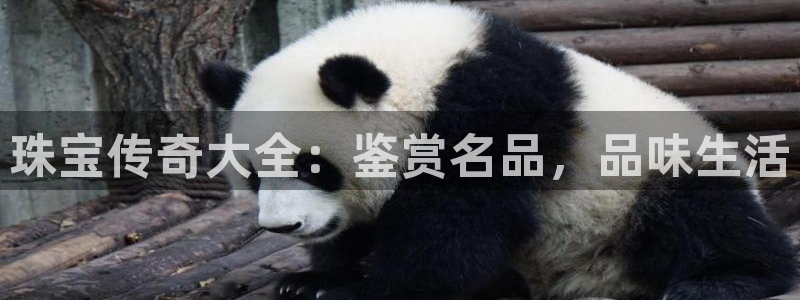 新宝5为啥开：珠宝传奇大全：鉴赏名品，品味生活