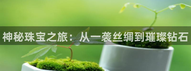 新宝5娱乐：神秘珠宝之旅：从一袭丝绸到璀璨钻石