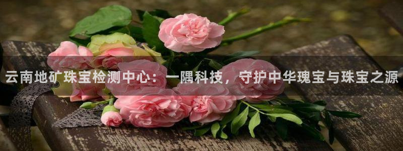 新宝5 测速：云南地矿珠宝检测中心：一隅科技，守护中华瑰宝与珠宝之源