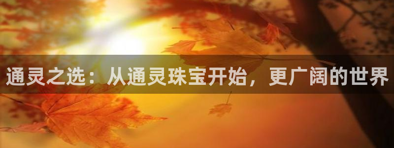 新宝5登录平台：通灵之选：从通灵珠宝开始，更广阔的世界