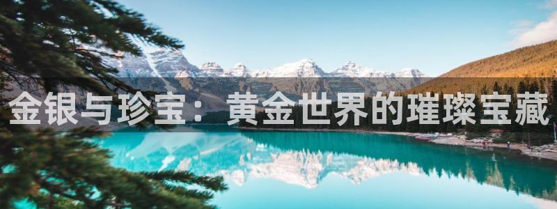 新宝5培训：金银与珍宝：黄金世界的璀璨宝藏