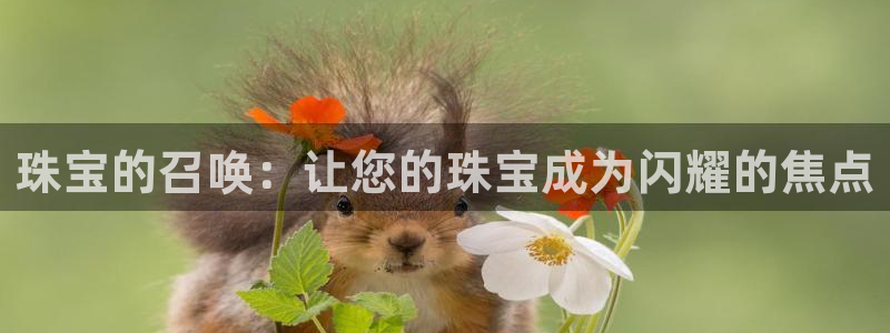 新宝5测速下载：珠宝的召唤：让您的珠宝成为闪耀的焦点