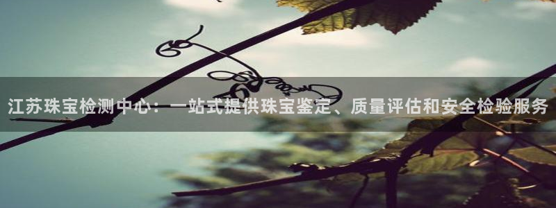 新宝5侹刔：江苏珠宝检测中心：一站式提供珠宝鉴定、质量评估和安全检验服务