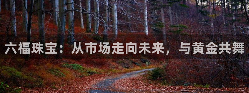 新宝5蒋7O667：六福珠宝：从市场走向未来，与黄金共舞