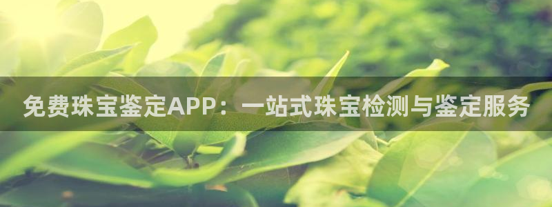 新宝5现在还能玩吗：免费珠宝鉴定APP：一站式珠宝检测与鉴定服务