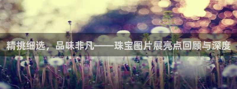 新宝5巅峰：精挑细选，品味非凡——珠宝图片展亮点回顾与深度