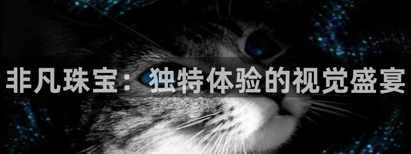 新宝5蒋74OOO5：非凡珠宝：独特体验的视觉盛宴