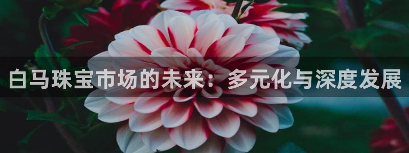 新宝5的网址：白马珠宝市场的未来：多元化与深度发展