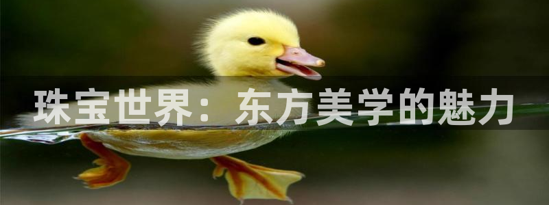 新宝5登录界面：珠宝世界：东方美学的魅力