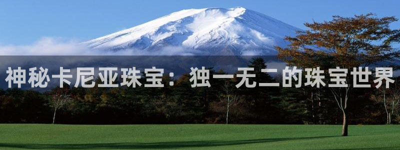 新宝5尤74OOO5：神秘卡尼亚珠宝：独一无二的珠宝世界