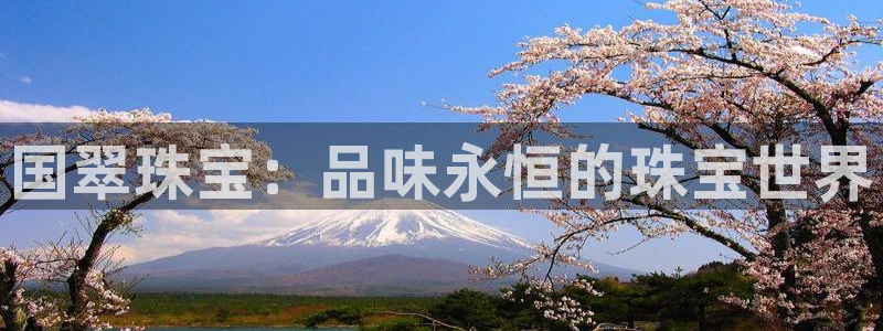 新宝G5：国翠珠宝：品味永恒的珠宝世界