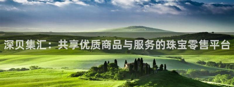 新宝rm5：深贝集汇：共享优质商品与服务的珠宝零售平台