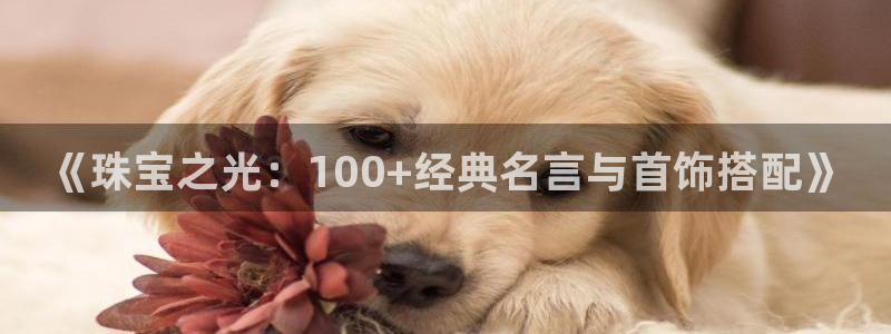 新宝5登录界面：《珠宝之光：100+经典名言与首饰搭配》